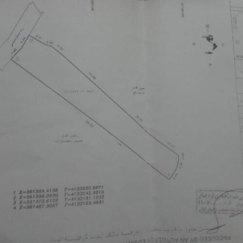 زمین شاریزای