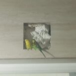 جفت مرغ عشق کار