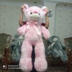 خرس بزرگ یک متر و بیست و زرافه یک متری