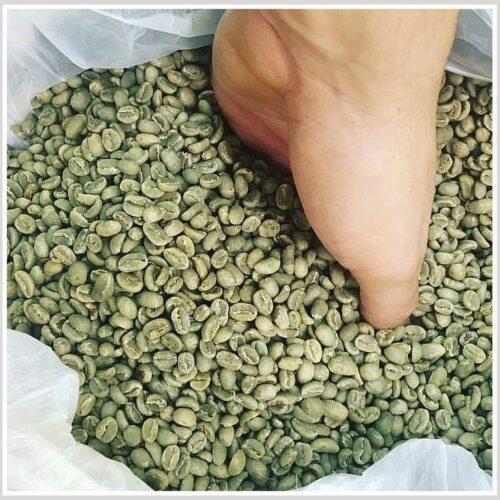 قهوه سبز عمده