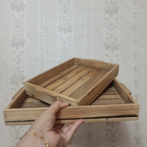 سینی دوتایی اردو خوری سینی مزه