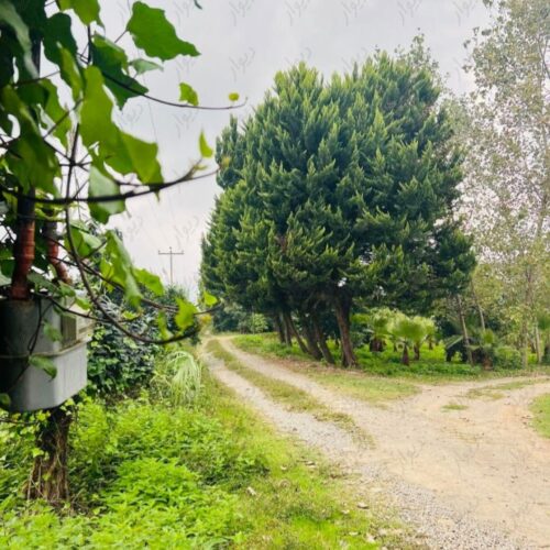 زمین/الیمالات