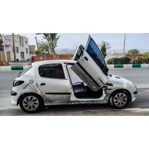 206 در حد جوان پسند خوش رخ