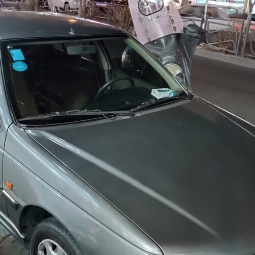 پرشیا نوک مدادی