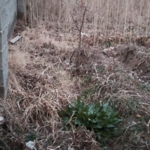 حیاط وخونه نیمه کاره هست