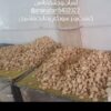 تولیدی‌انواع‌کشک‌سنتی