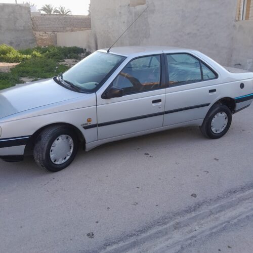 پژودرحدصفرخشک وآکبند بهترین گزینه پژو