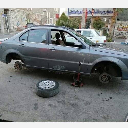 دنا معمولی کروز دار 96