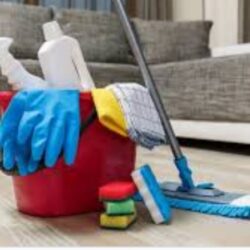شرکت نظافتی اطلس