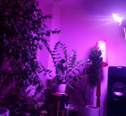 لامپ رشد گیاه 150 وات