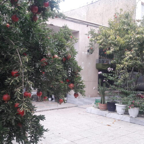 262 متر ویلایی مسکونی سند تک برگ ششدانگ