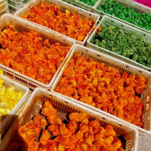 جوجه رنگی سرحال و خوش خوراک