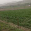 بر جاده اصلی فنس کشی شده