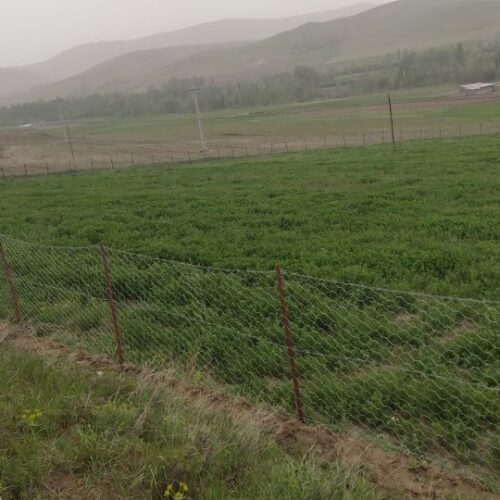 بر جاده اصلی فنس کشی شده