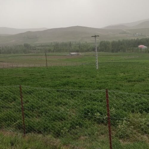 بر جاده اصلی فنس کشی شده