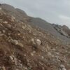 زمین کشاورزی یا ویلایی در کمرنق شادبادمشایخ