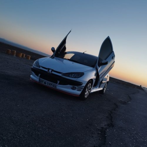 206 در حد جوان پسند خوش رخ