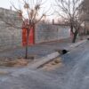 باغ چهار دیواری