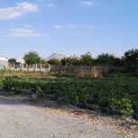 زمین ویلایی