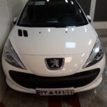 207 دنده پانا 1400