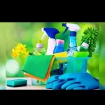 شرکت خدماتی نظافتی نوین مهر ارائه خدمات نظافتی وخدمات دیگر خد
