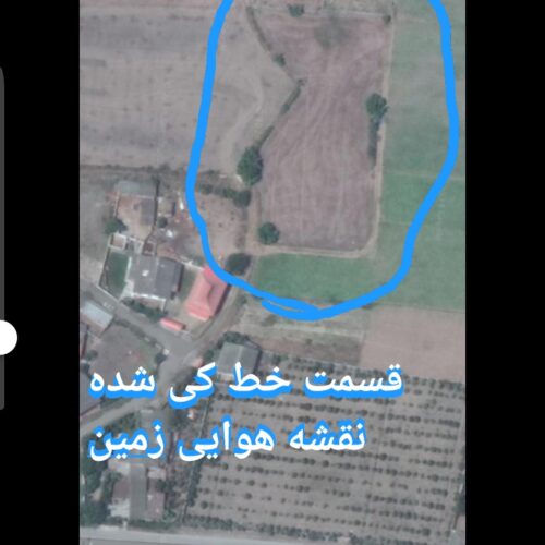 باغ هلو