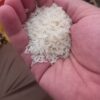 برنج خالص گیلان با تضمین صددرصدی