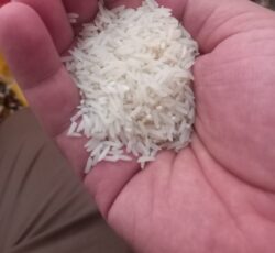 برنج خالص گیلان با تضمین صددرصدی