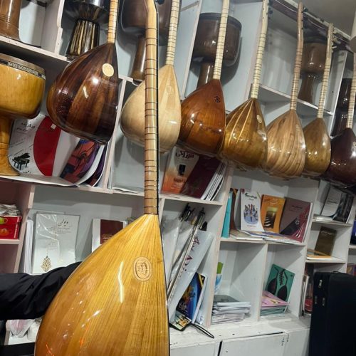 باغلامە هنارە حرفەای