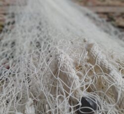 تور ماهیگیری