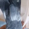 نرومایه دمبی ب ضمانت جوجه
