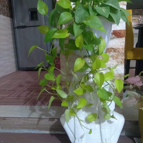مجسمه سفالی زن مصری