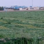 زمین کشاورزی 10000متر