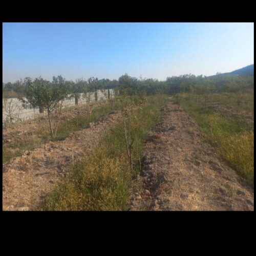 چهار دیواری باغچه 1000 متری
