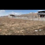 باغ دراسپیران ، آغاج اوغلو