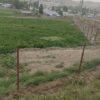 بر جاده اصلی فنس کشی شده