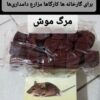 لوازم جانبی مرگ موش سم موش