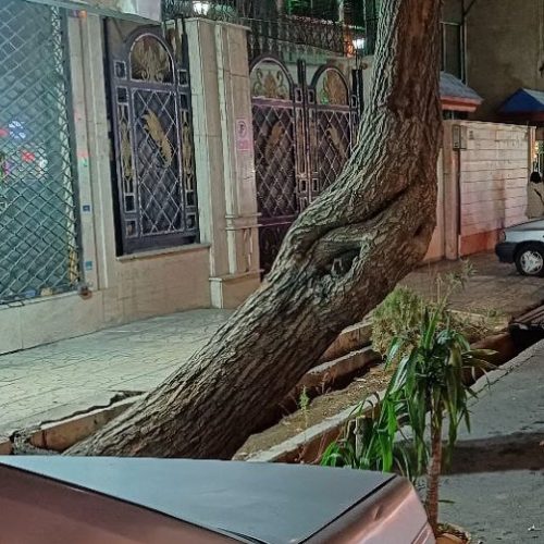 مغازه 8 متری پرستار