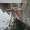اجاره روزانه واحد سوئیت