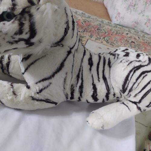 عروسک هیچ مشکلی ندارد