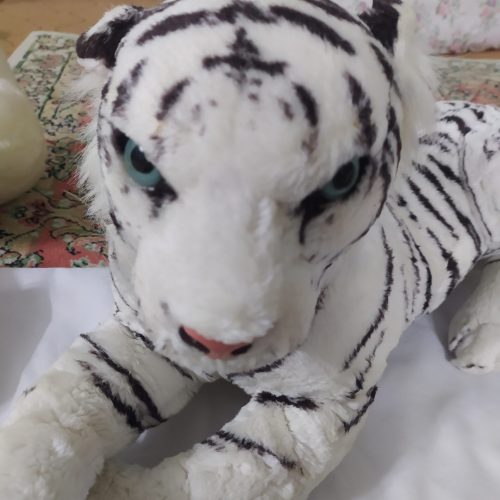 عروسک هیچ مشکلی ندارد