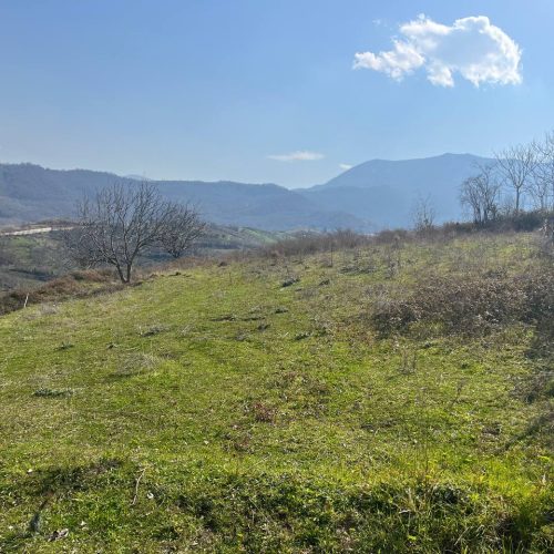 فروش زمین کشاورزی وویلایی باغی