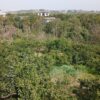 فروش باغ در کنار رودخانه