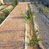 باغ چهاردیواری