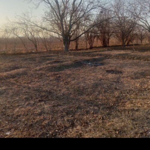 باغ در روستای دستجرد