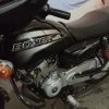 باکسر در حدنو