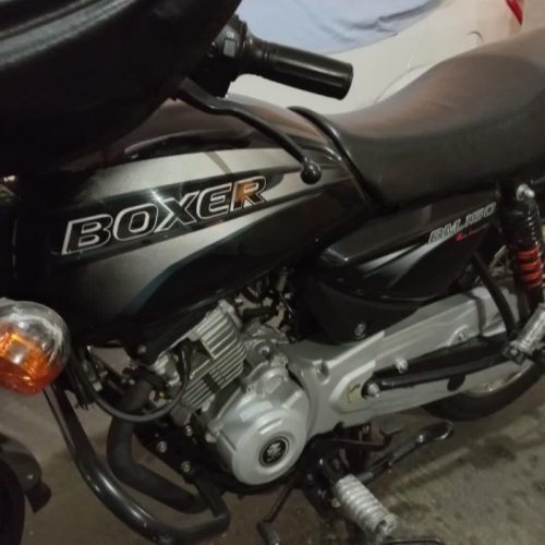 باکسر در حدنو