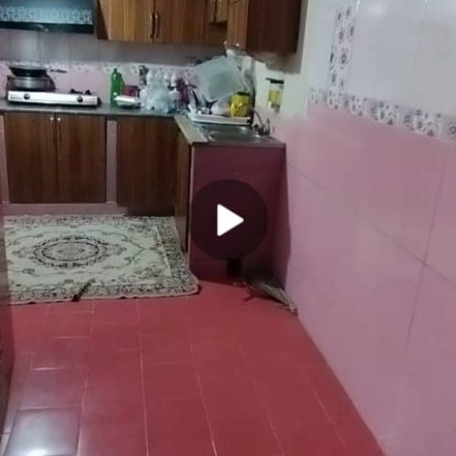 سوئیت اجاره ای