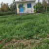1105متر‌زمین کشاورزی گرگان گلندتاریکی