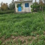 1105متر‌زمین کشاورزی گرگان گلندتاریکی